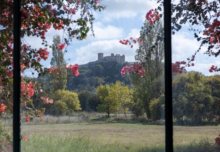 Farm i Obidos, Leiria, Obidos - € 4.500.000 | Ref: MM002410 - foto 1